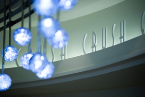 Martini Bar & Crush